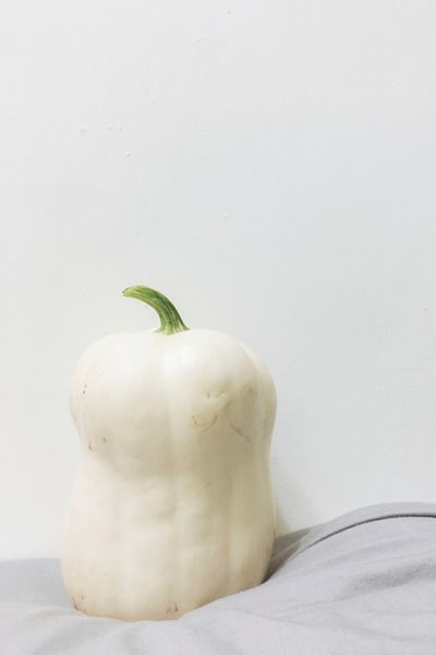 椭圆形白色蔬菜